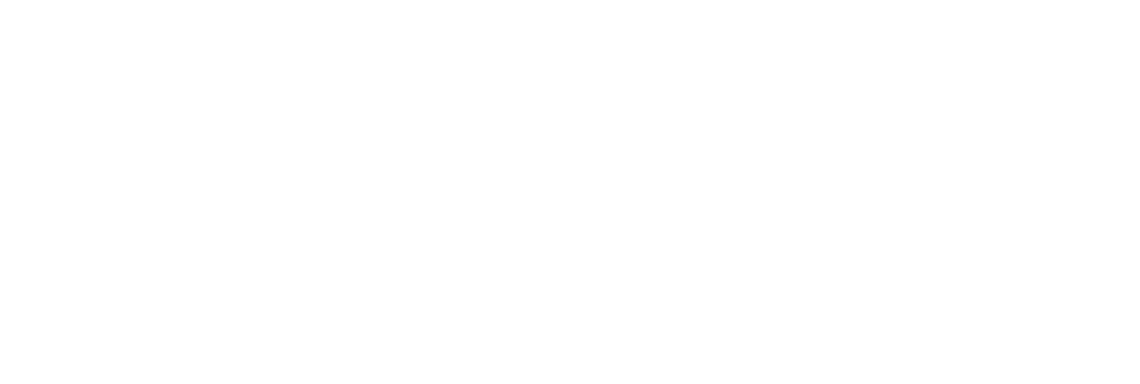 Logo texte de Djiboutiana avec le nom en majuscules et la signature "Parcelles à Vivre" en écriture manuscrite. Design élégant et épuré en blanc